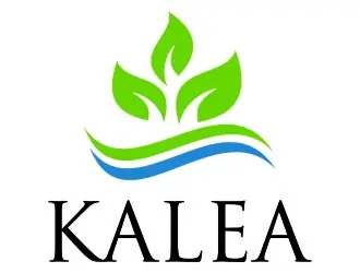 Kalea logo design, concept 109