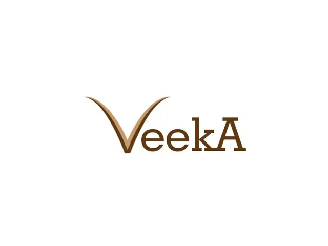 VeekA logo design, concept 2