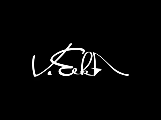 VeekA logo design, concept 16