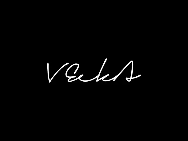VeekA logo design, concept 17