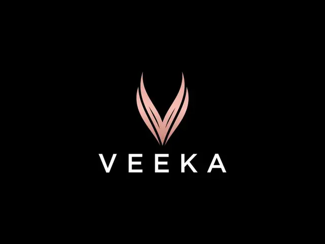 VeekA logo design, concept 22