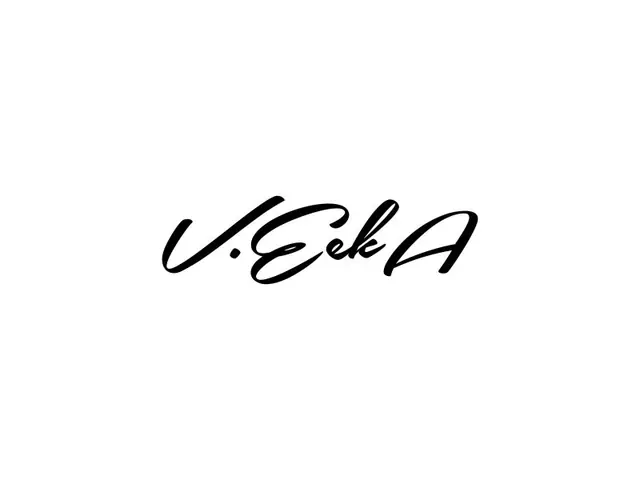 VeekA logo design, concept 23