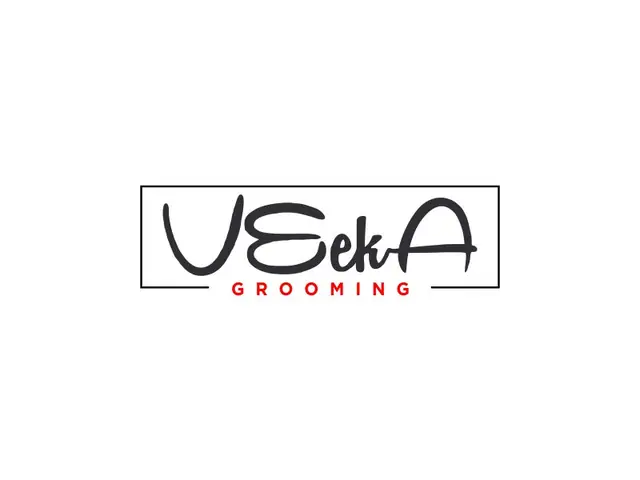 VeekA logo design, concept 32