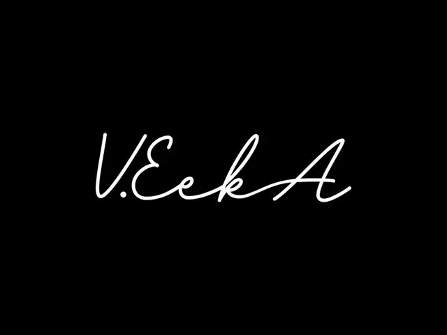 VeekA logo design, concept 35