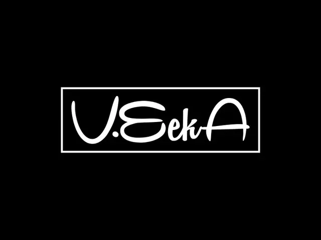 VeekA logo design, concept 41