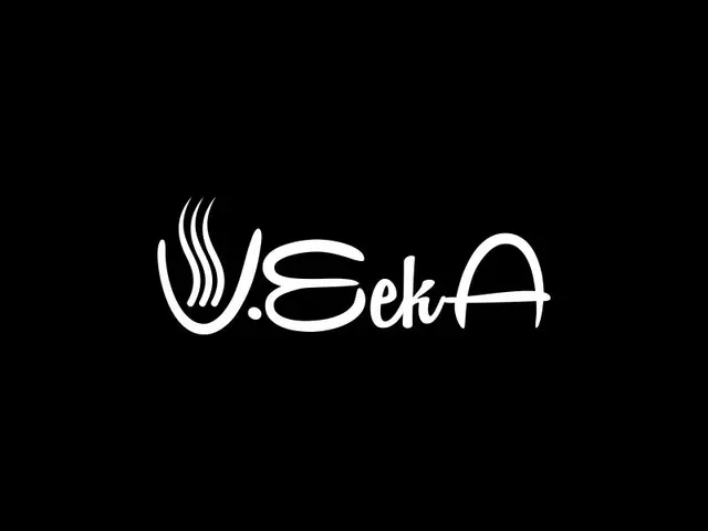 VeekA logo design, concept 42