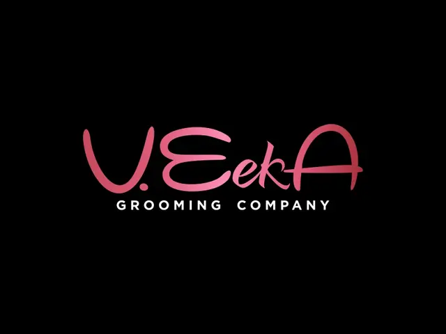 VeekA logo design, concept 47