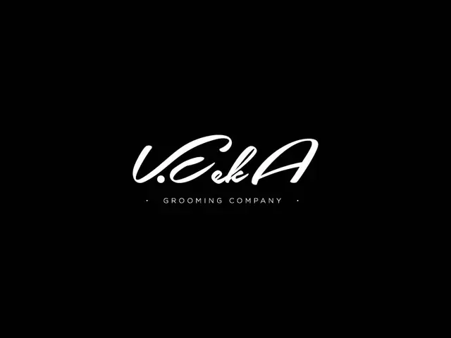 VeekA logo design, concept 130