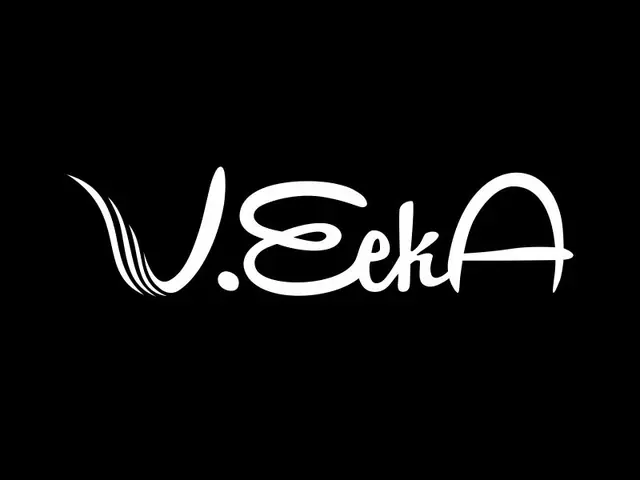 VeekA logo design, concept 132