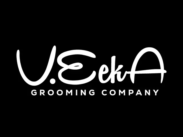 VeekA logo design, concept 154