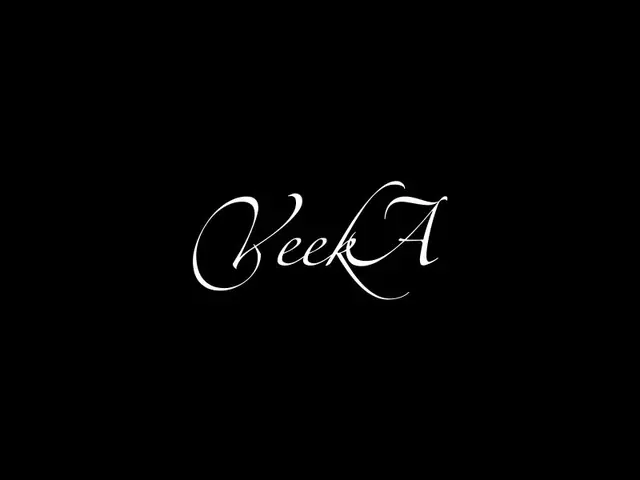 VeekA logo design, concept 175