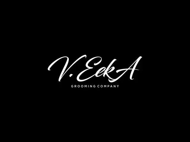 VeekA logo design, concept 191