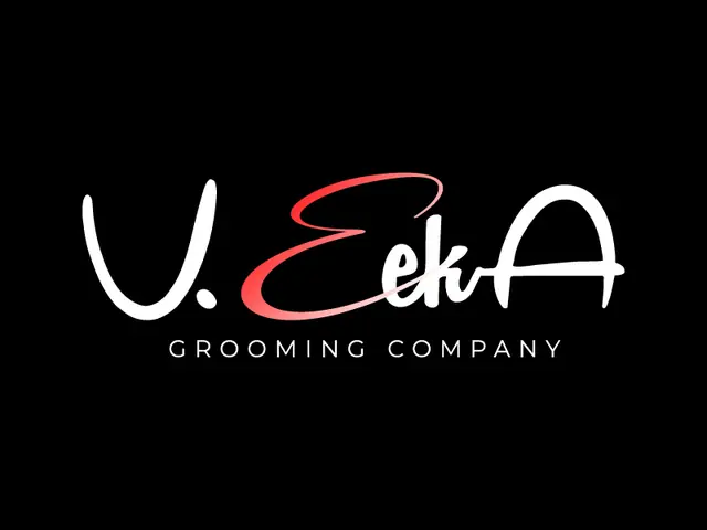 VeekA logo design, concept 194