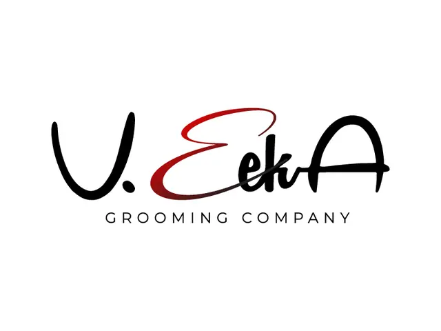 VeekA logo design, concept 195