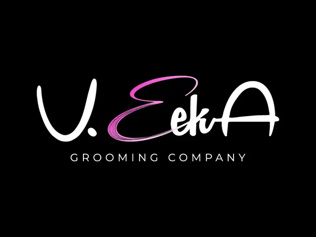 VeekA logo design, concept 196