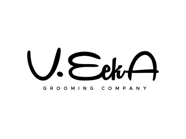 VeekA logo design, concept 200