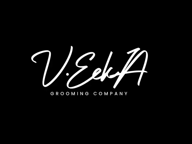 VeekA logo design, concept 260