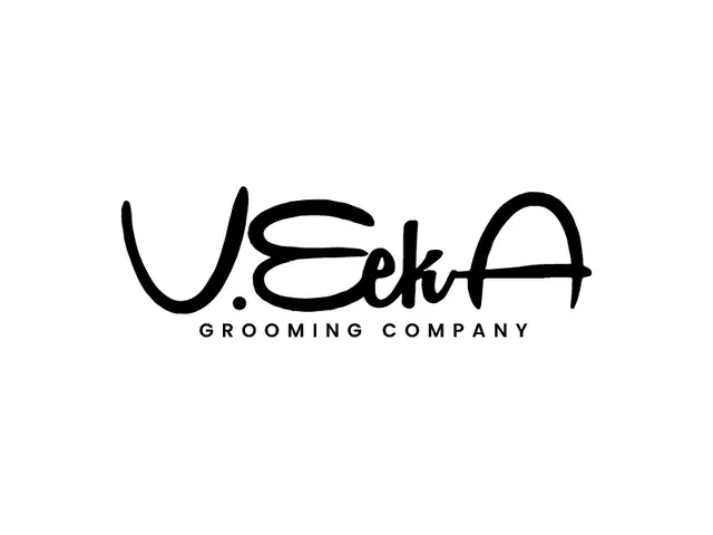 VeekA logo design, concept 261
