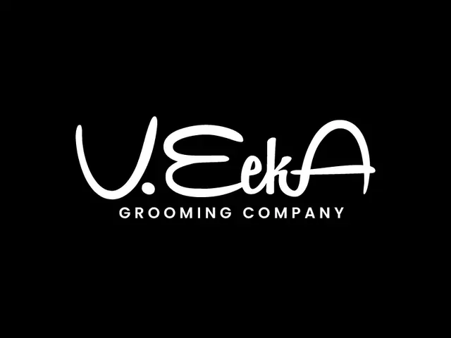 VeekA logo design, concept 309